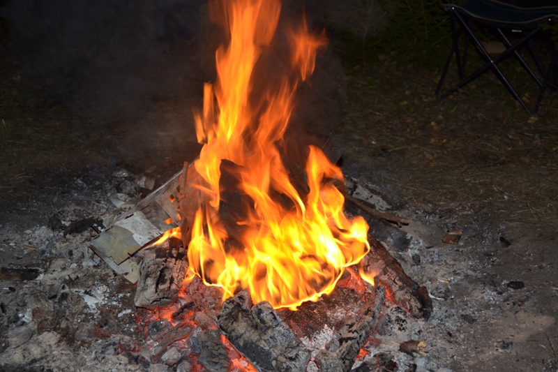 DSC_0146.JPG